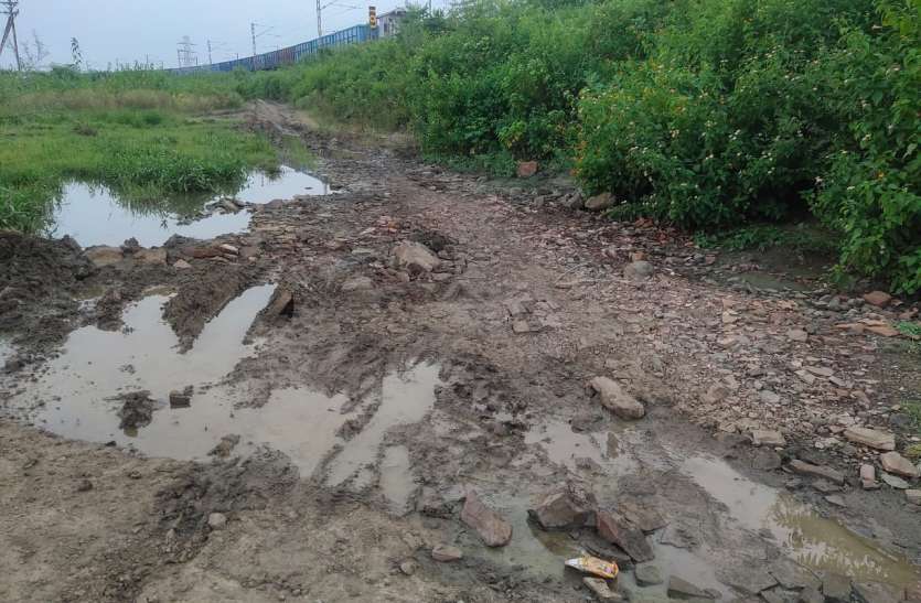 Colonizers made illegal colonies in the fields bypassing the rules नियमों को दरकिनार कर कॉलोनाइजर्स ने खेतों में बना दी अवैध कॉलोनियां