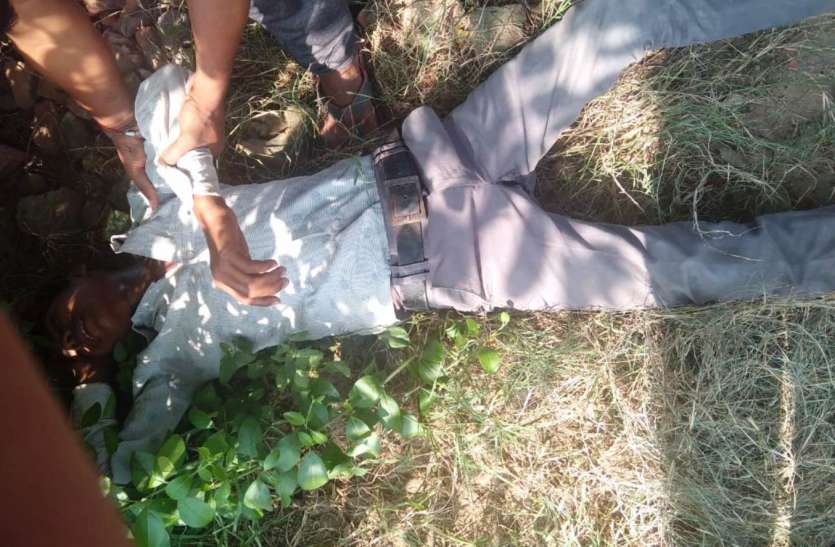 accident आवारा जानवर को बचाने के चक्कर में अनियंत्रित होकर पलट गई कार, दो की मौत तीन घायल