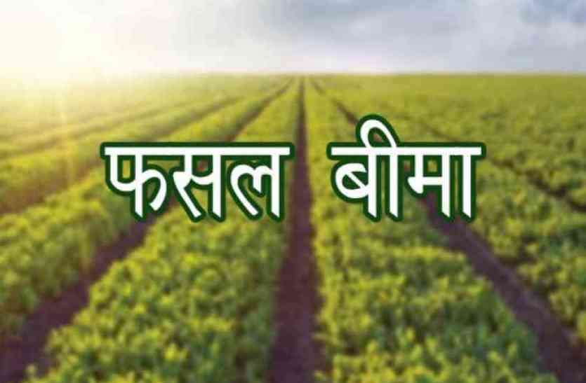 On the first day, fourteen farmers received insurance money पहले दिन चौदह किसानों के खाते में आई बीमा राशि, प्रमाण-पत्र दिए