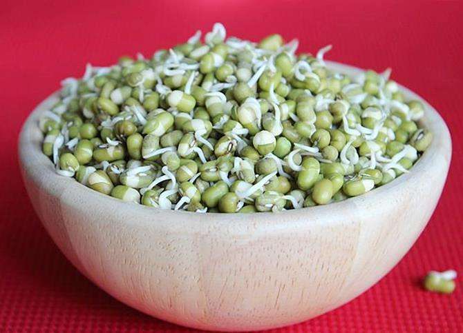 green-gram-sprouts.jpg