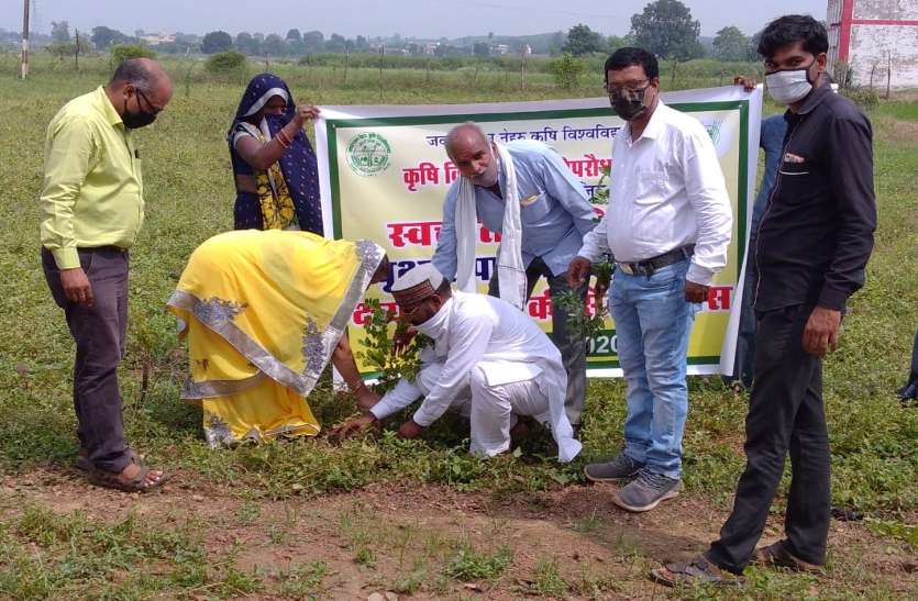 farmers planting saplings in Krishi Vigyan Kendra campus. फलदार पौधों का रोपण कर बताया पोषण में महत्व