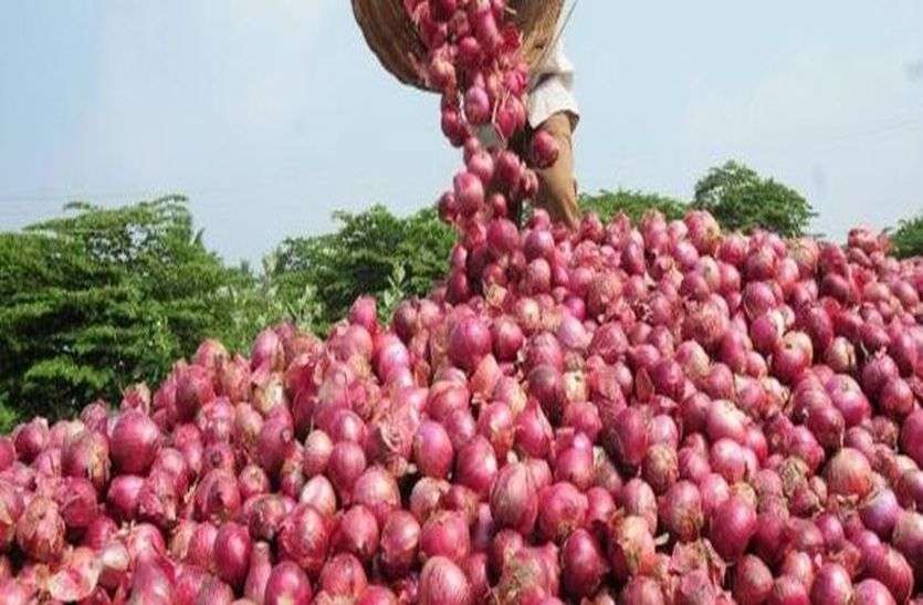 प्याज का होगा बंपर उत्पादन, लेकिन किसानों की बढ़ी चिंता प्याज का होगा बंपर उत्पादन, लेकिन किसानों की बढ़ी चिंता