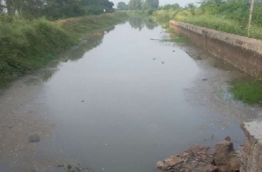 नहरों में जल प्रवाह करने से किसानों के चेहरे खिले नहरों में जल प्रवाह करने से किसानों के चेहरे खिले