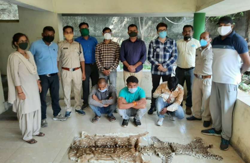 Search continues तेंदुए व चीतल की खाल सहित पकड़ाए आरोपी रिमांड पर
