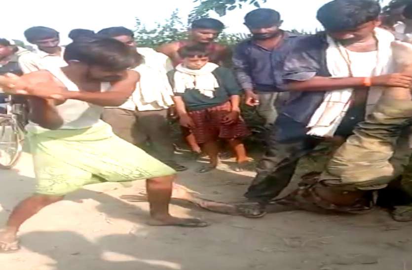 chhedchhad छात्रा का पीछा करना मनचले को पड़ा भारी, ग्रामीणों ने उल्टा लटकाकर दी थर्ड डिग्री