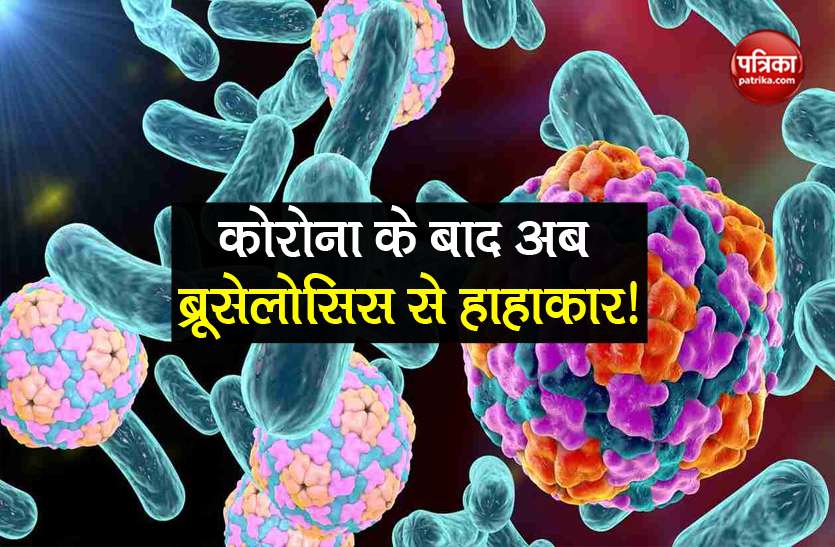 Bacterial Outbreak in china after covid-19 virus 3000 people infected Brucellosis Outbreak: कोरोना के बाद एक और नई बीमारी की दस्तक, अब तक 3000 लोग संक्रमित
