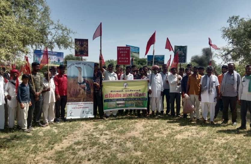 ओरण को बचाने को 55 किलोमीटर देगराय मंदिर ओरण परिक्रमा शुरू ओरण को बचाने को 55 किलोमीटर देगराय मंदिर ओरण परिक्रमा शुरू