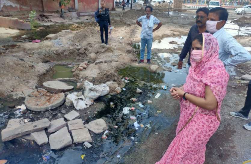 नालों में मच्छरों के खात्मे के लिए निगम करेगा फॉगिंग नालों में मच्छरों के खात्मे के लिए निगम करेगा फॉगिंग