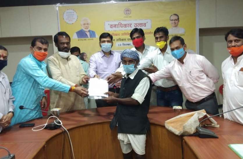 Forest Rights Festival: The right to live in Vananchal, CM communicated वनाधिकार उत्सव: वनांचल में रहने का मिला अधिकार, सीएम ने किया संवाद