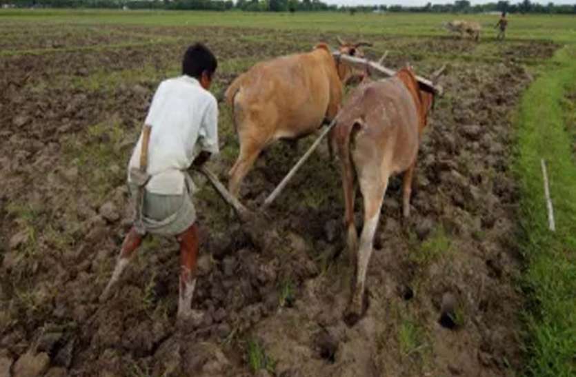 azamgarh news बागवानी और मसाला की खेती से किसानों की आय दूना करेगी सरकार