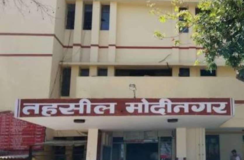 modinagar.jpg माेदीनगर काे बंदरों से मुक्त कराने की तैयारी में पालिका, दाे हजार से अधिक बंदर चिन्हित