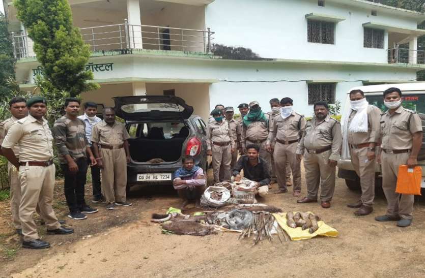 देवपुर वन परिक्षेत्र में सांभर का शिकार देवपुर वन परिक्षेत्र में सांभर का शिकार