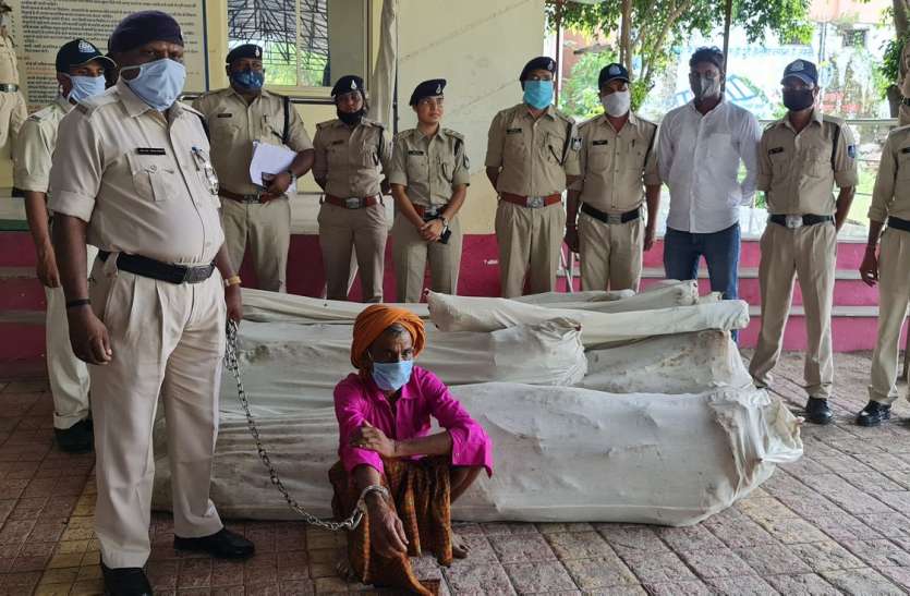 Police seized hemp plants worth Rs 25 lakh पुलिस ने जब्त किए 25 लाख रुपए के गांजे के पौधे