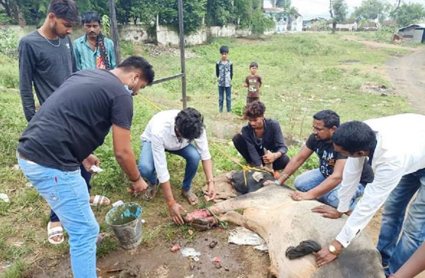 कभी कोरोना वारियर बन करते हैं मदद, तो कभी कर रहे रक्तदान कभी कोरोना वारियर बन करते हैं मदद, तो कभी कर रहे रक्तदान