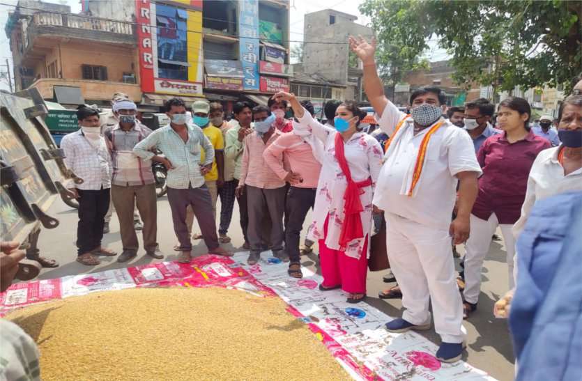 Wheat auctioned in Mandi for twelve hundred rupees quintal मंडी में बारह सौ रुपए क्विंटल में हुई गेहूं की नीलामी, किसानों ने गेहूं जमीन पर डालकर जताया विरोध