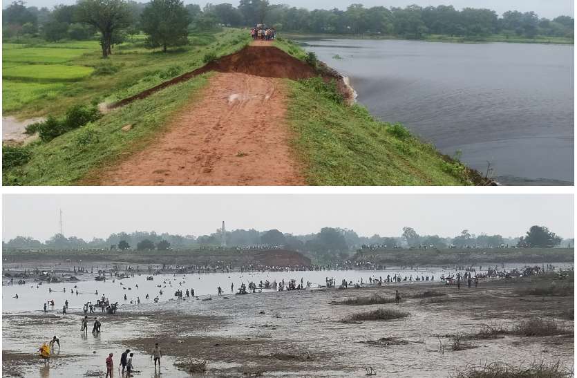 बांध टूटने से 14.5 हेक्टेयर धान की फसल चौपट, 3 गांव के किसान प्रभावित, पानी बहने के बाद मछली पकडऩे उमड़े लोग बांध टूटने से 14.5 हेक्टेयर धान की फसल चौपट, 3 गांव के किसान प्रभावित, पानी बहने के बाद मछली पकडऩे उमड़े लोग