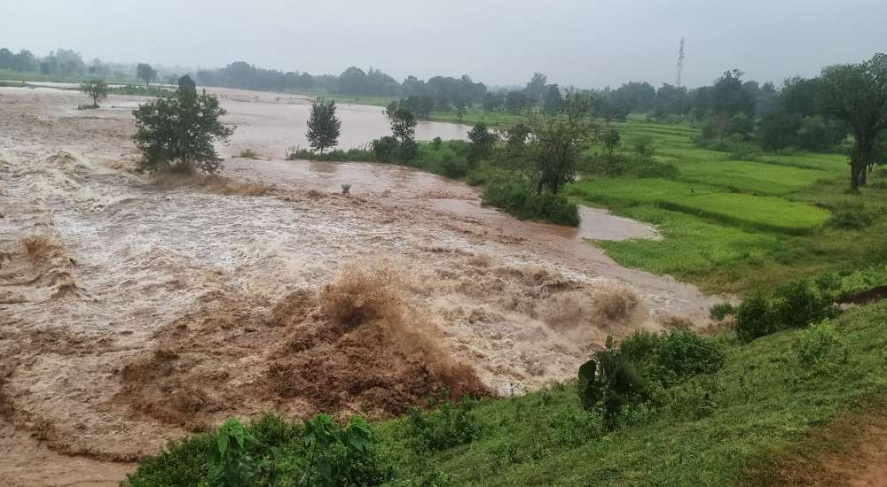 बांध टूटने से 14.5 हेक्टेयर धान की फसल चौपट, 3 गांव के किसान प्रभावित, पानी बहने के बाद मछली पकडऩे उमड़े लोग