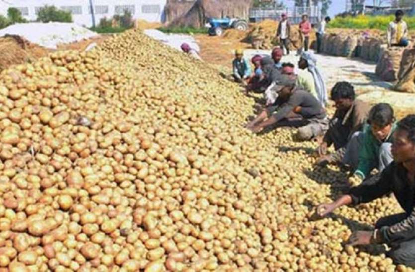 Potato, apple prices rise in Delhi due to impact of farmer movement आम लोगों की बढ़ी मुश्किलें, किसान आंदोलन की वजह से आलू हुआ इतना महंगा