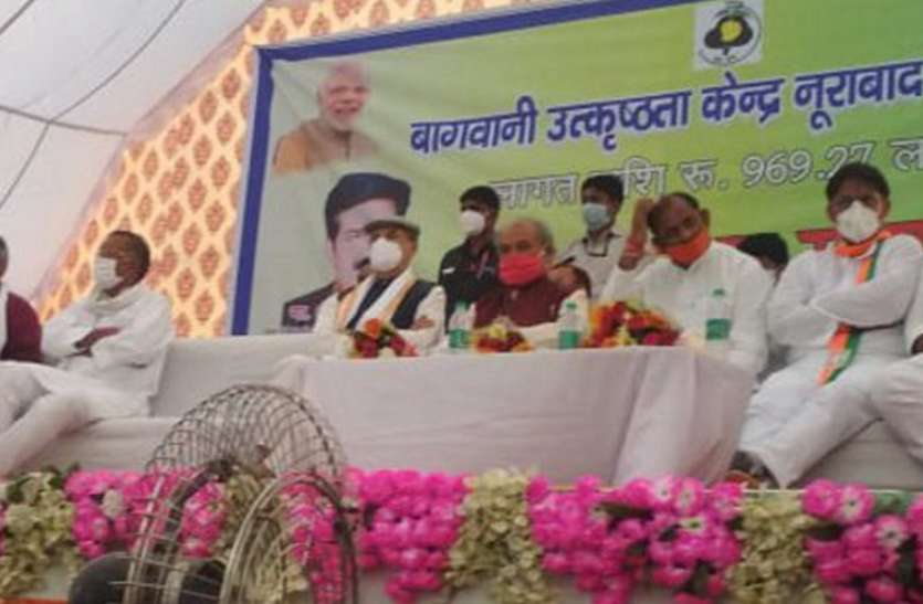 ऐसे पौधे होंगे तैयार जिनसे किसानों को मिलेगा फायदा ऐसे पौधे होंगे तैयार जिनसे किसानों को मिलेगा फायदा