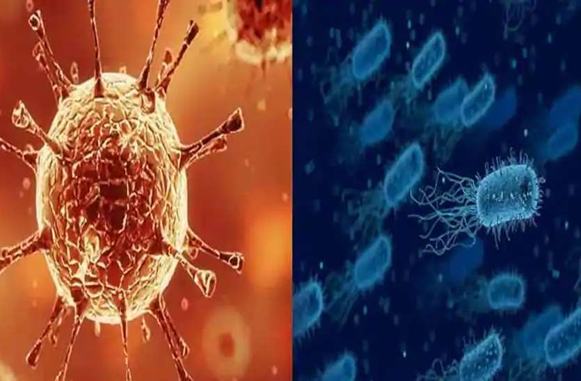 coronavirus know about brucellosis bacterial in china symptoms