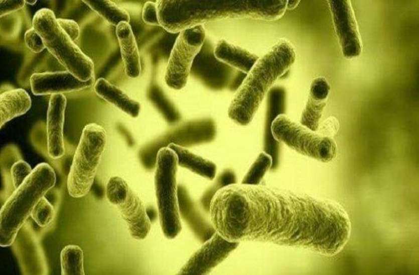 coronavirus know about brucellosis bacterial in china symptoms
