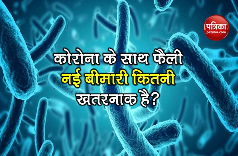 coronavirus know about brucellosis bacterial in china symptoms China में फैली Brucellosis बीमारी क्या भारत के लिए होगी खतरा? कोरोना की तरह हैं लक्षण