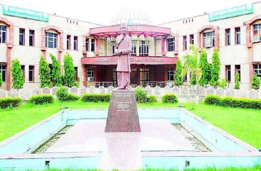 नवाचार: प्रत्येक पंचायत में होंगे दो सरसों फार्म स्कूल नवाचार: प्रत्येक पंचायत में होंगे दो सरसों फार्म स्कूल