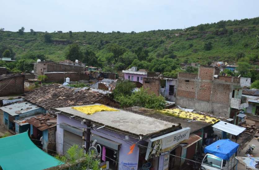 किले और नवाबी अतीत के साथ सीताफल से है हैदरगढ़ की पहचान किले और नवाबी अतीत के साथ सीताफल से है हैदरगढ़ की पहचान
