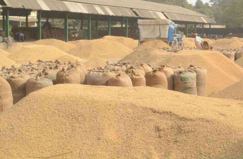 Paddy Procurement किसानों को 8 घंटे की बजाए अब 24 घंटे मिलेगा टोकन, दूसरे दिन तक 4779 जारी