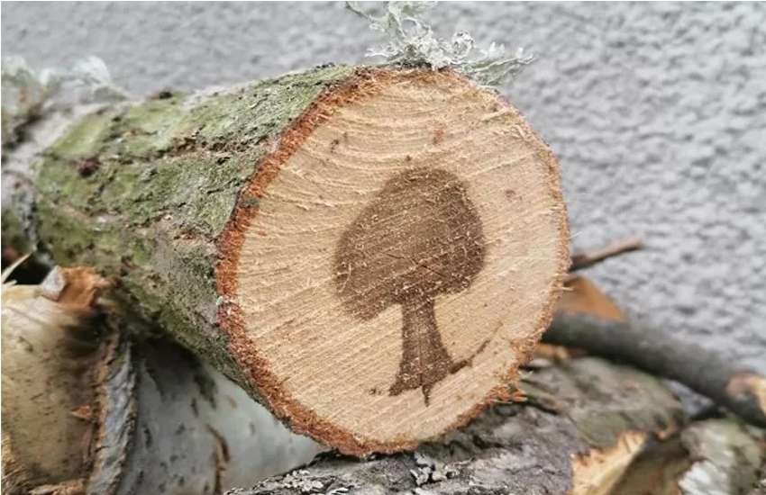 surprised pictures