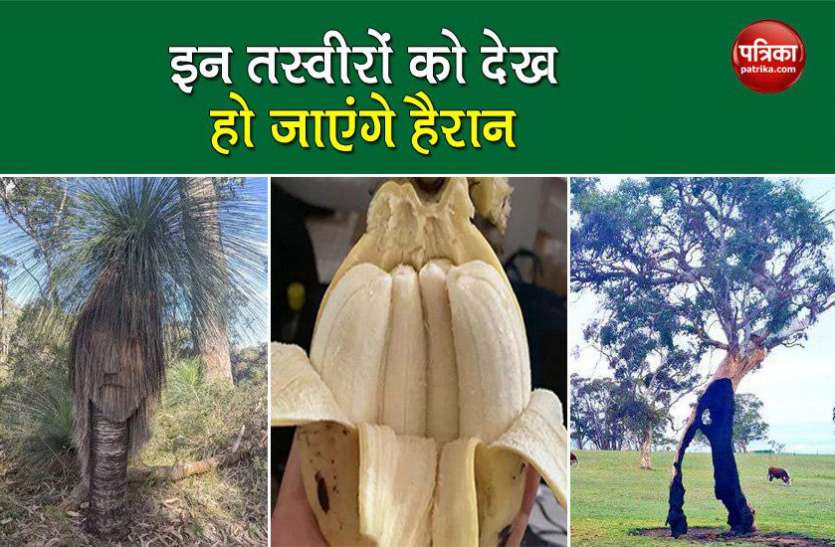 surprised pictures कुदरत का अद्भुत करिश्मा, इन 10 तस्वीरों को देख आप हो जाएंगे हैरान