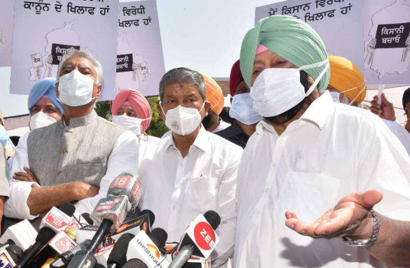 Captain Amarinder singh कैप्टन का कृषि कानूनों के खिलाफ जंग का ऐलान, दो करोड़ किसानों के हस्ताक्षर लेंगे