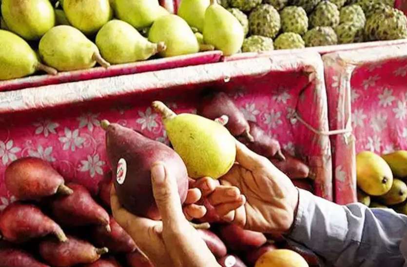 Bones Health : इस एक खूबी के कारण हड्डियों में प्राकृतिक रूप से कैल्शियम बनाती है नाशपाती Bones Health : इस एक खूबी के कारण हड्डियों में प्राकृतिक रूप से कैल्शियम बनाती है नाशपाती