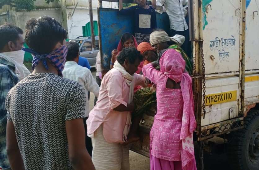 मिनी ट्रक पलटने से २० मजदूर घायल कटाई के लिए जा रहे मजदूरों से भरा मिनी ट्रक पलटा