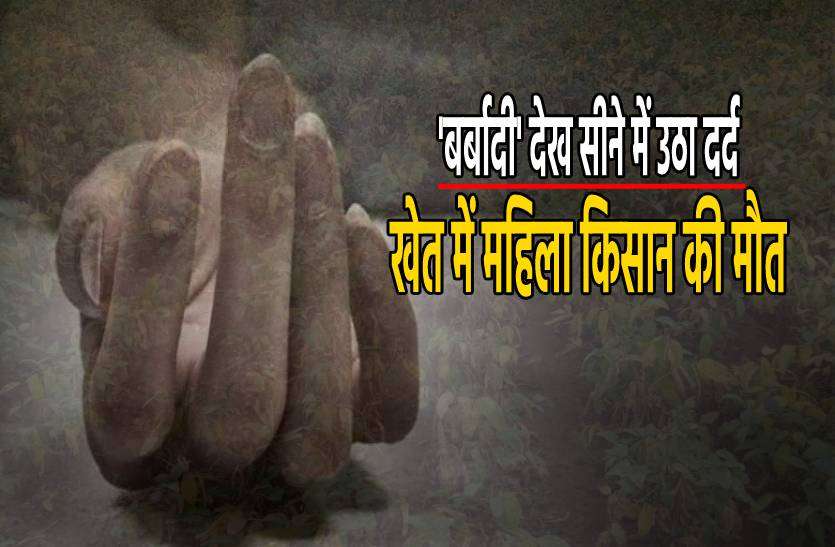 death.jpg 'बर्बादी' देखकर सीने में उठा दर्द और खेत की मेड़ पर ही गिर गई महिला किसान