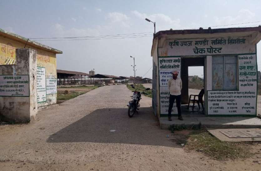 Govt godowns have now been prepared for storing grain in Singrauli मॉडल रूप में विकसित किए जाएंगे प्रत्येक जोन के दो उपार्जन केंद्र