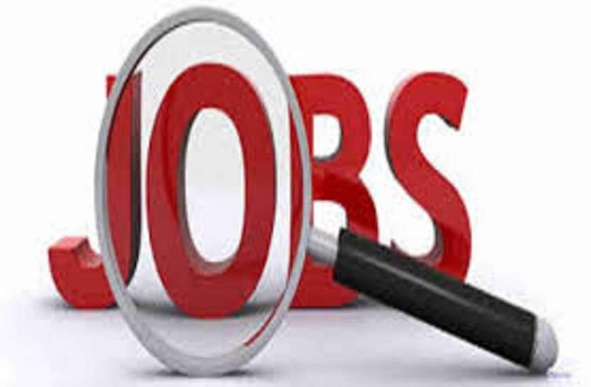 Latest Govt Jobs: Recruitment to 383 new posts in Rajasthan approved, will be direct recruitment soon