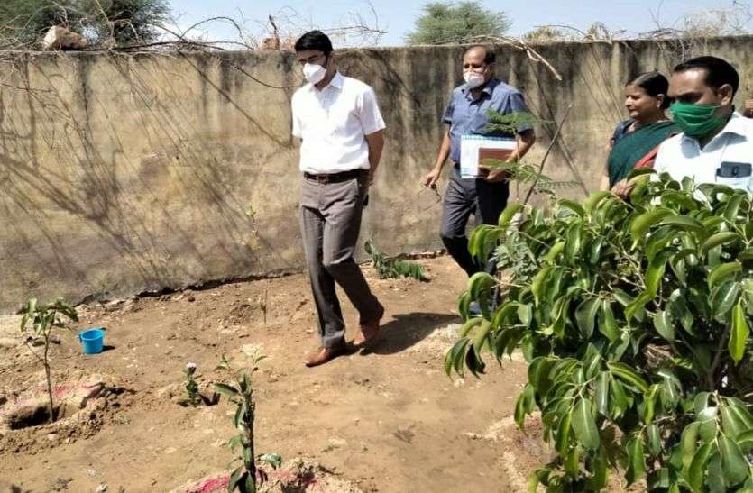 कलक्टर ने पोषण वाटिकाओं का लिया जायजा और यह बोले कलक्टर ने पोषण वाटिकाओं का लिया जायजा और यह बोले