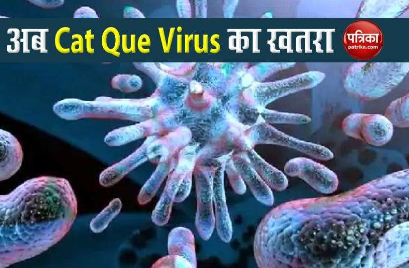 Cat Que Virus Cat Que Virus: आईसीएमआर ने किया अलर्ट, देश में मुश्किल बढ़ा सकता है चीन का नया वायरस