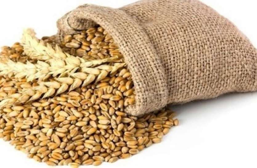 FCI-- -कोरोना काल में अब तक उपलब्ध कराया 12 लाख क्विं गेंहू FCI-- -कोरोना काल में अब तक उपलब्ध कराया 12 लाख क्विं गेंहू