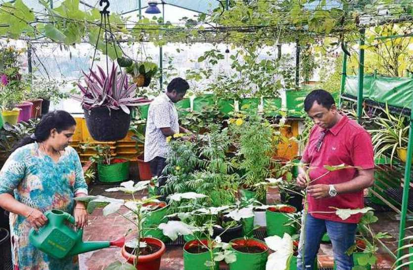 युवाओं में अर्बन फोरेस्ट और आर्गेनिक फार्मिंग का बढ़ रहा क्रेज युवाओं में अर्बन फोरेस्ट और आर्गेनिक फार्मिंग का बढ़ रहा क्रेज