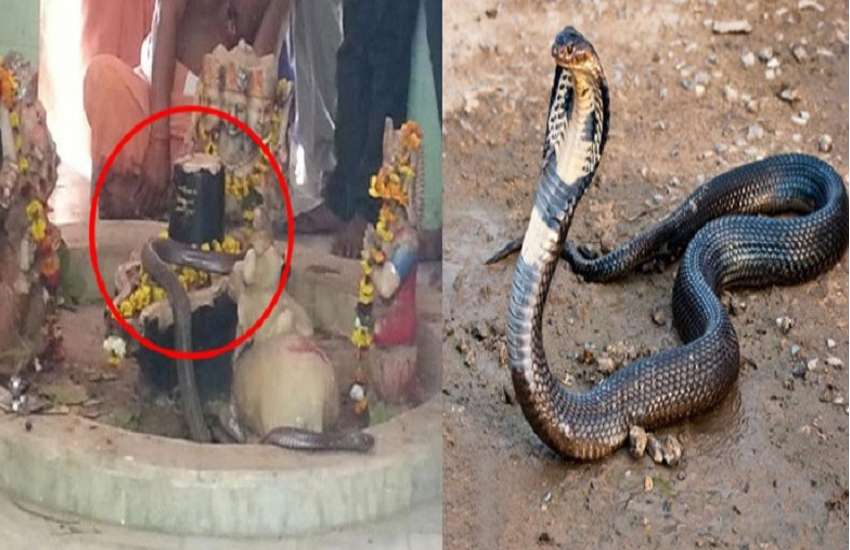 unique Shiva temple