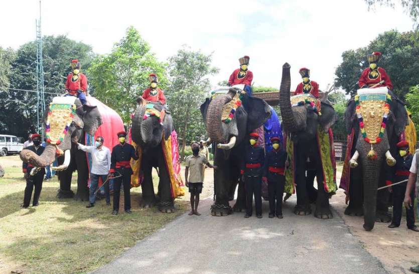 dasara_elephants_02.jpg मैसूर पैलेस व चामुंडी पहाड़ी तक सीमित रहेगा दशहरा महोत्सव
