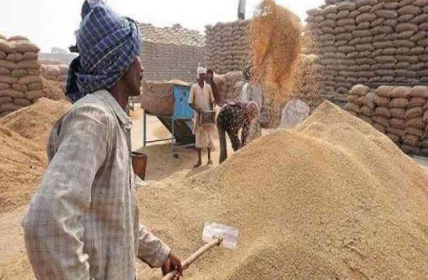 azamgarh news 15 अक्टूबर से खरीदा जाएगा किसानों का धान, सरकार ने 1888 रुपये तय किया है रेट