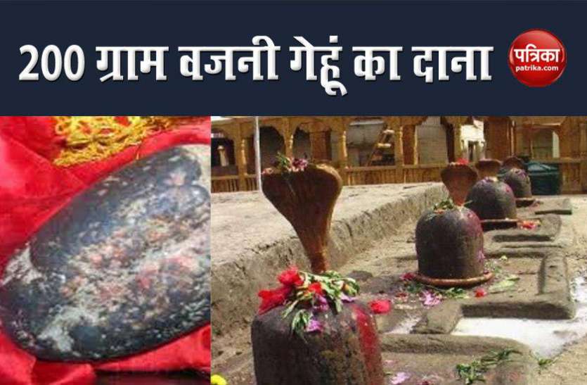 mamleshwar-mahadev-temple इस मंदिर में रखा है 5000 साल पुराना 200 ग्राम गेहूं का दाना, पांडवों से है गहरा संबंध