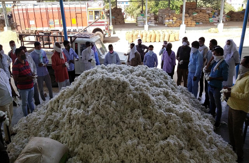 कृषि मण्डी में महिनों बाद लौट रही है रौनक कृषि मण्डी में महिनों बाद लौट रही है रौनक