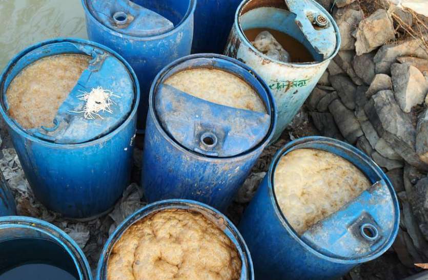 उपचुनाव के मतदान से पहले पुलिस सक्रिय 1040 liters of illicit raw liquor and gudlahan seized, news in hindi, mp news, dabra news 1040 लीटर अवैध कच्ची शराब और गुडलहान जब्त