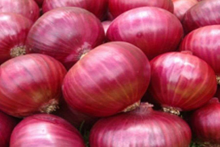 onion.jpg