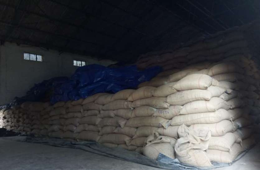Rice monitoring being hampered by shortage of non staff नान स्टाफ की कमी से बाधित हो रही चावल मॉनिटरिंग