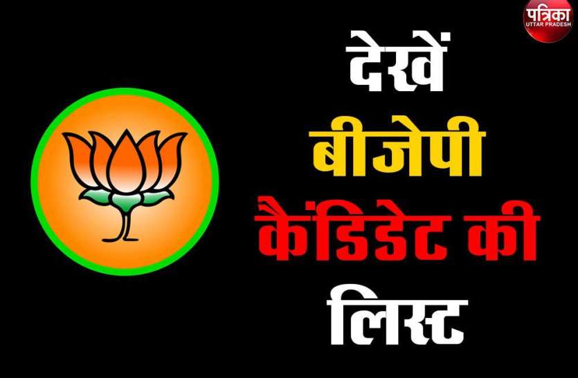 bjp_2.jpg भाजपा को बगावत का डर, कई पुराने कार्यकर्ता टिकट नहीं मिलने से नाराज